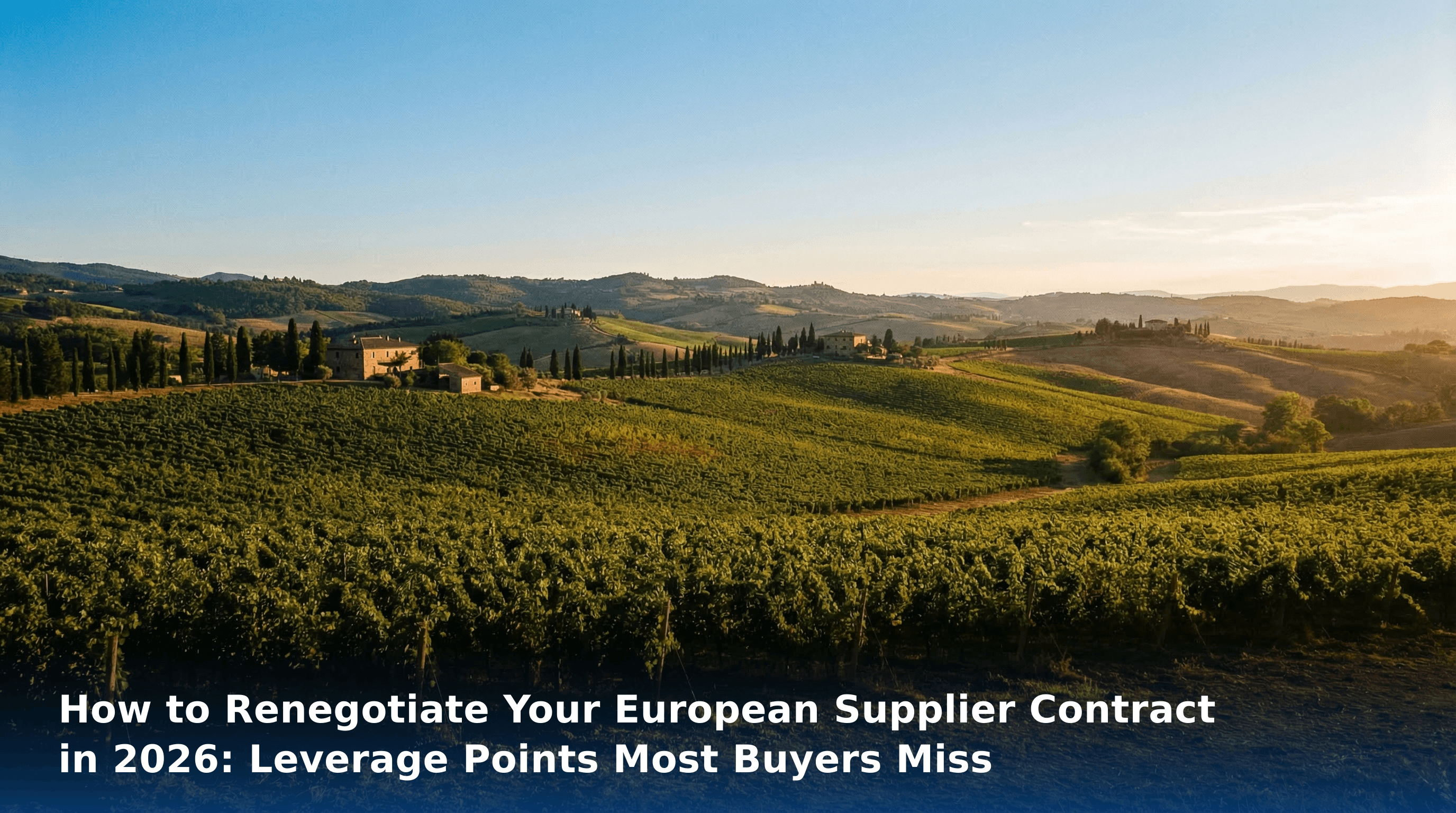 Renegotiate European Supplier Contracts: Missed Leverage